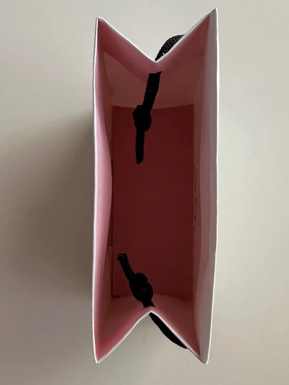 Empty Pandora Gift Box and Bag with Tissue Paper